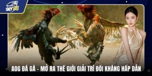 AOG Đá Gà
