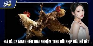 Đá Gà C2