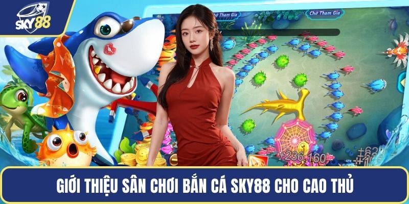 Giới thiệu sân chơi bắn cá SKY88 cho cao thủ