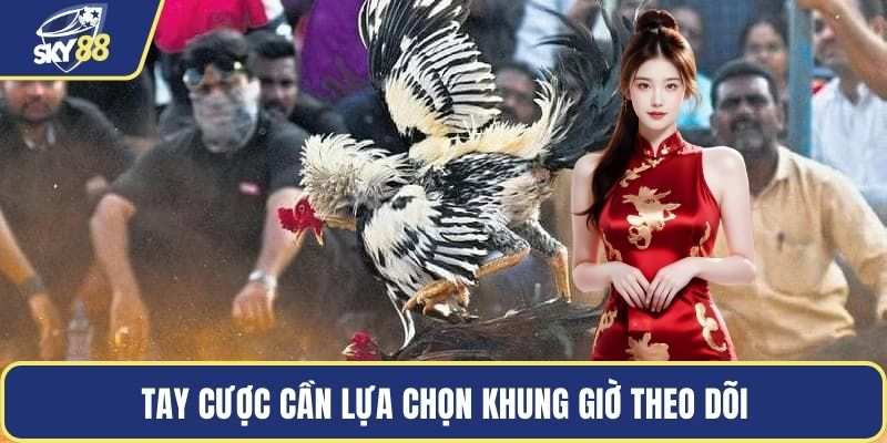 Tay cược cần lựa chọn khung giờ theo dõi